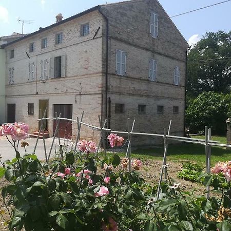 Casa Vacanze Da Peppa Grottazzolina Екстериор снимка