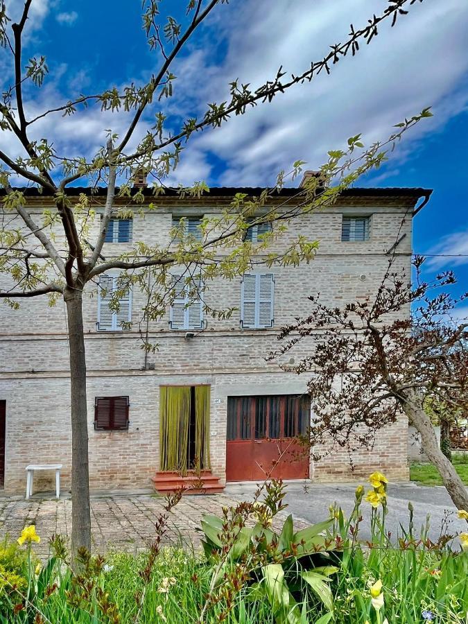 Casa Vacanze Da Peppa Grottazzolina Екстериор снимка