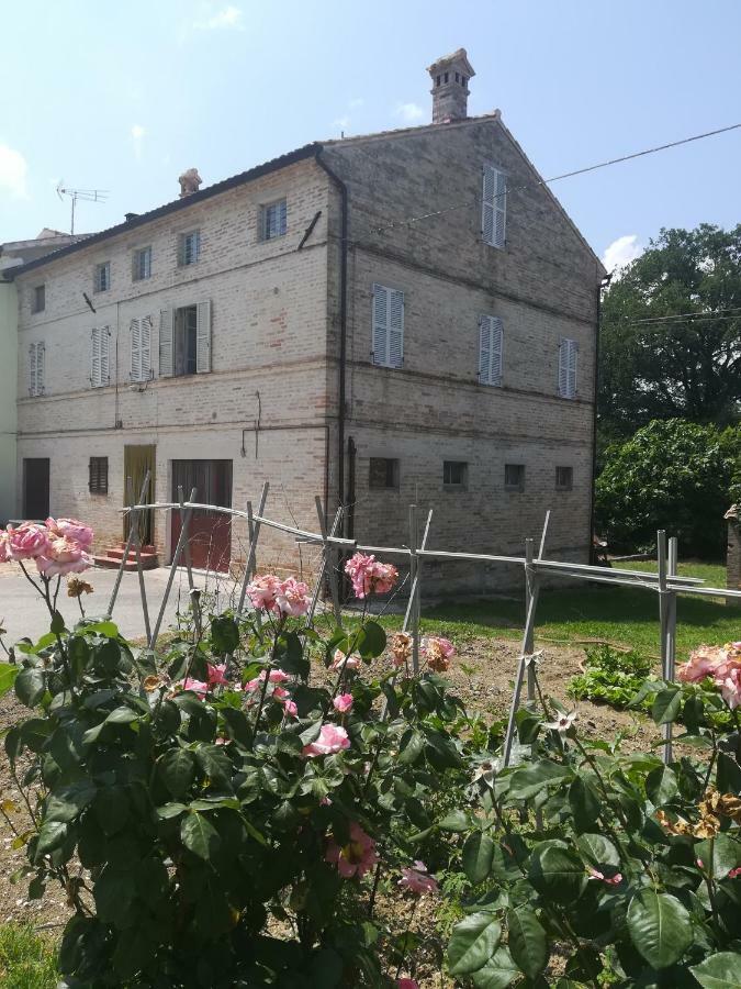 Casa Vacanze Da Peppa Grottazzolina Екстериор снимка